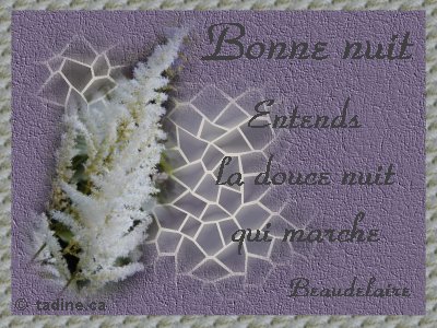 Bonne nuit les amis(ies)